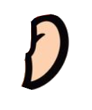 oreilgauche